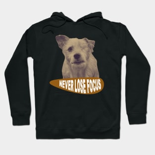 One-eyed dog, never lose focus Hoodie